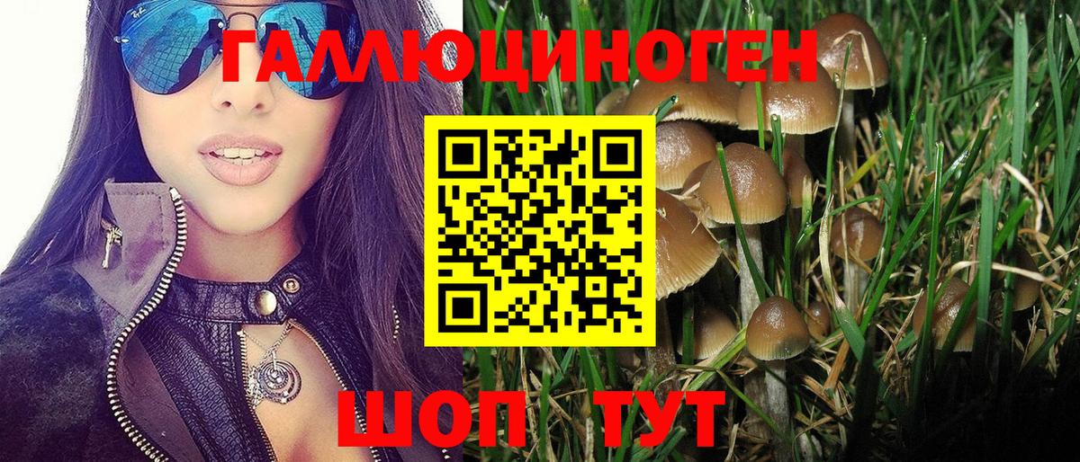 Казань  купить   Вход с VPN  Галлюциногенные грибы MAGIC MUSHROOMS 